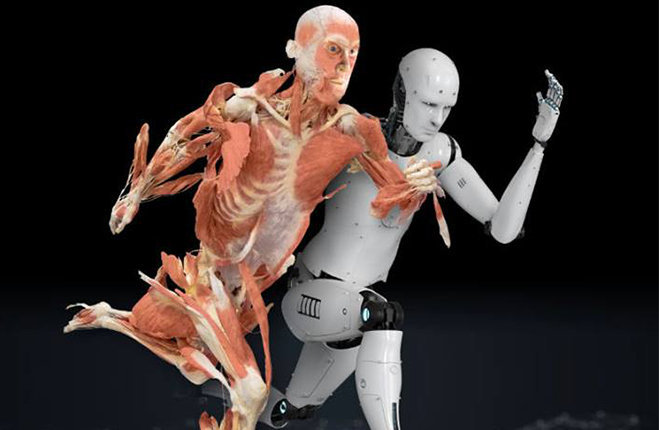 Real Bodies, oltre il corpo umano Milano Leonardo da Vinci Crioconservazione