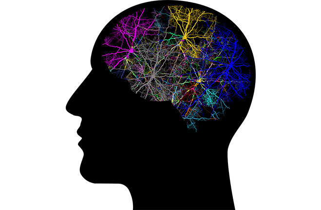 SiNaps, il dispositivo italiano che registra la sinfonia del cervello Simultaneous Neural Recording Active Pixel Sensor technology