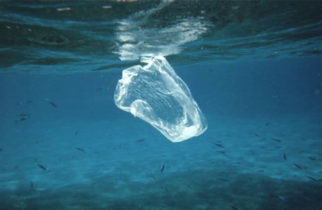 Giornata del Mare e della Cultura Marina 11 aprile inquinamento plastica oceani