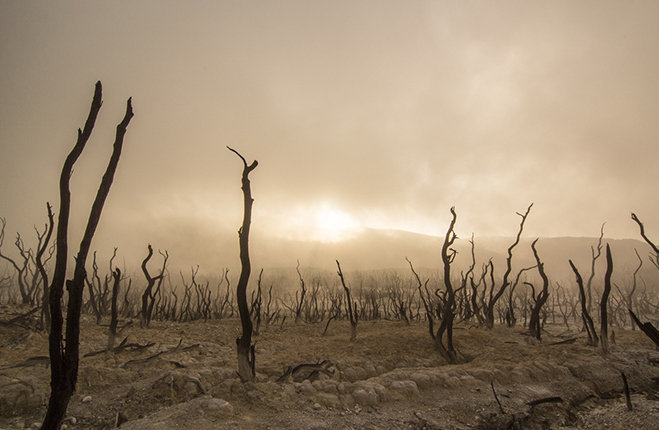 cambiamento climatico minaccia ai diritti umani Philip Alston