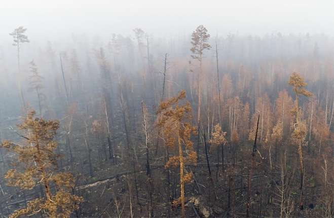 Una squadra di Greenpeace Russia ha documentato i massicci incendi che stanno interessando la Grande foresta del Nord nella regione di Krasnoyarsk in Siberia. (2)