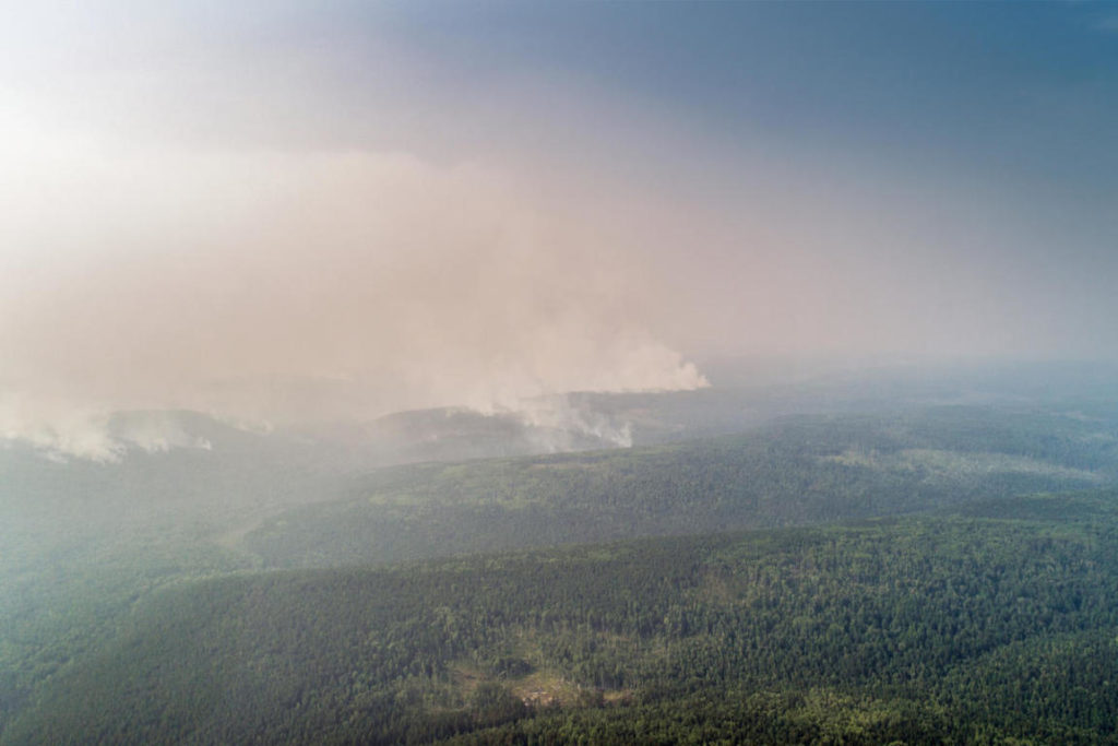 incendi in Siberia nella Grande Foresta del Nord Russia