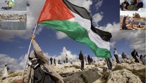 palestina manifestazione