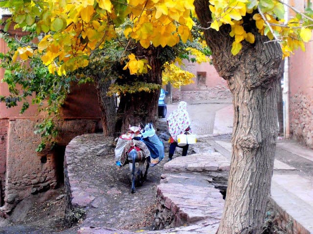 Donna con asinello. Abianeh, Iran
