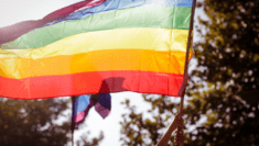 Legge omofobia, Arcigay_ In alcuni emendamenti il tentativo di svuotare la legge