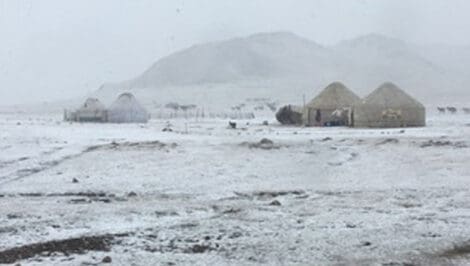 Gruppo di tende yurta durante una tempesta di neve in agosto, lago Son Kul - Kirghizistan